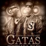 Daddy Yankee Ft. Farruko - Gatas Bocinas Y Bajo MP3