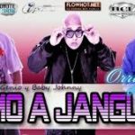 Farruko Ft Genio y Baby Johnny - Vamo A Janguiar MP3